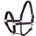 Bridle