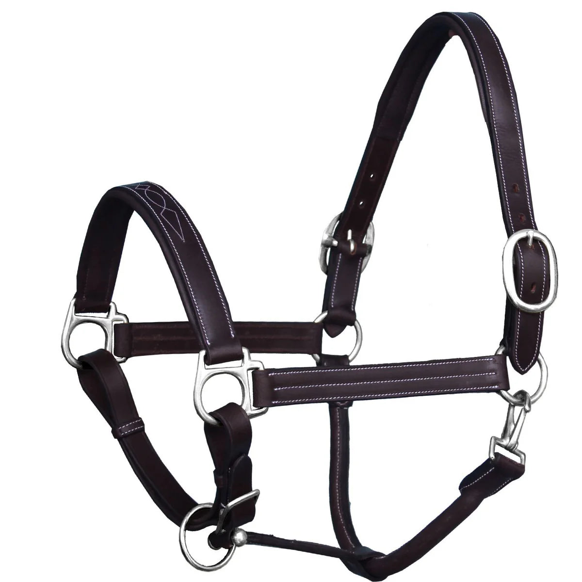 Bridle
