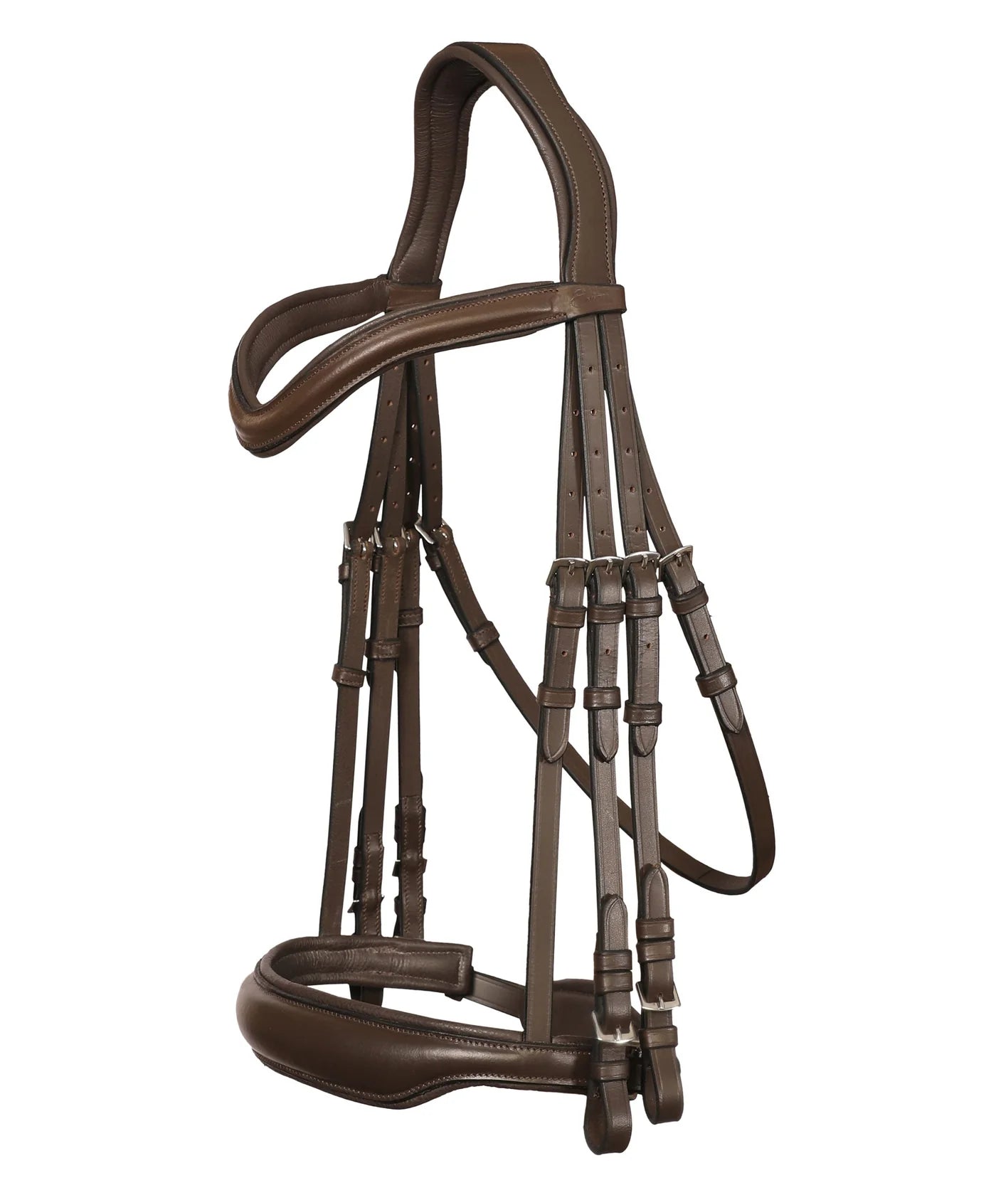 Bridle